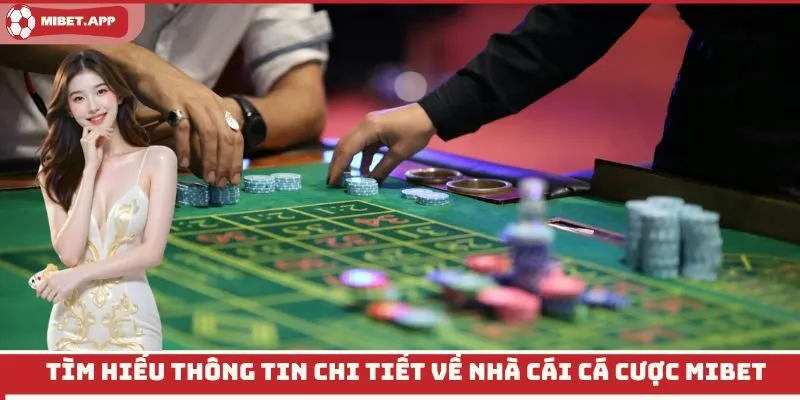 Tìm hiểu thông tin chi tiết về nhà cái cá cược Mibet